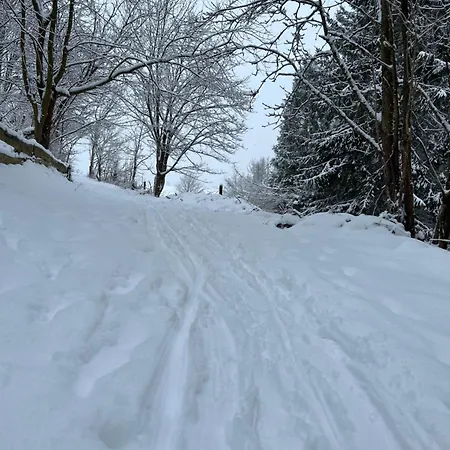 Harz-momente Achtermannshoehe * Sankt Andreasberg