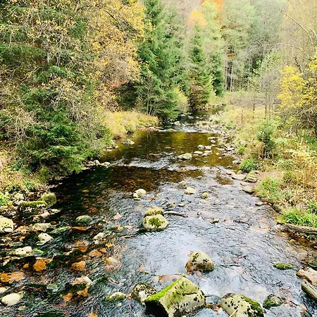 Harz-momente Achtermannshoehe Διαμέρισμα Sankt Andreasberg